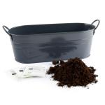 Radis et Capucine - Jardinière 3 aromates - Basilic - Coriandre - Thym - MEDIA_EN_SITUATION_2